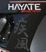 ZX10R Hayate Replica